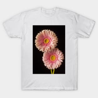 Two Dew Covered Pink Gerbera Daises T-Shirt